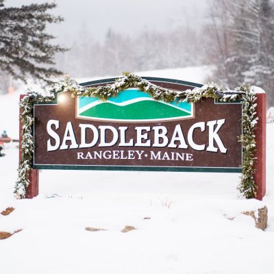 saddleback saddleback